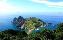 桐岛图片,自然与人文的和谐画卷