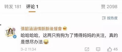 吃瓜娱乐账号起名