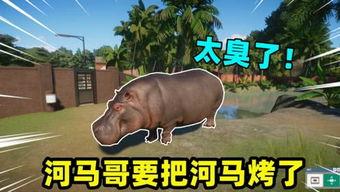 河马哥游戏搞笑解说,笑料百出，欢乐无限